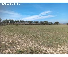 TERRENO AGRICOLA EN ARBOÇ