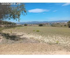 TERRENO AGRICOLA EN ARBOÇ