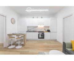 ALQUILER TEMPORAL-APARTAMENTO RECIEN REFORMADO ZONA CHUECA