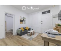ALQUILER TEMPORAL-APARTAMENTO RECIEN REFORMADO ZONA CHUECA