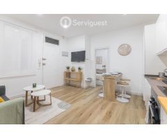 ALQUILER TEMPORAL-APARTAMENTO RECIEN REFORMADO ZONA CHUECA