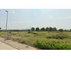 ALG135 - TERRENO DE 2.851M2 EN LA CALLE VILANOVA DE SANT JOAN DE LENOVA