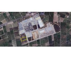ALG135 - TERRENO DE 2.851M2 EN LA CALLE VILANOVA DE SANT JOAN DE LENOVA