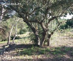 Chalet en Venta en Tortosa, Tarragona