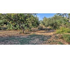 Chalet en Venta en Tortosa, Tarragona