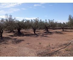 Chalet en Venta en Tortosa, Tarragona