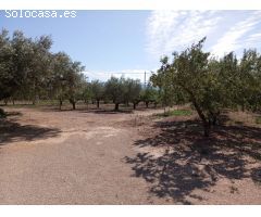 Chalet en Venta en Tortosa, Tarragona