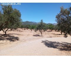 Chalet en Venta en Tortosa, Tarragona