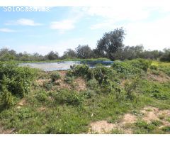 Chalet en Venta en Tortosa, Tarragona