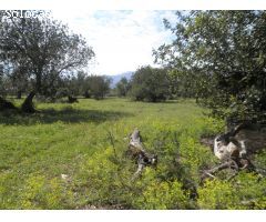 Chalet en Venta en Tortosa, Tarragona