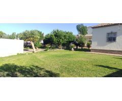 MAGNIFICO CHALET EN PARCELA DE 1500 METROS URBANO EN ZONA DEL CAMPITO
