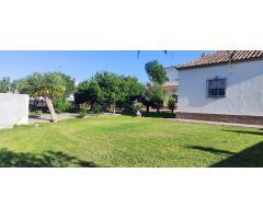 MAGNIFICO CHALET EN PARCELA DE 1500 METROS URBANO EN ZONA DEL CAMPITO