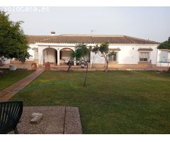CHALET EN LA ZONA DE LAS VEGUETAS