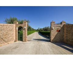 Preciosa finca de 22.500m2 plantada de olivos con vivienda independiente y a unos minutos del pueblo
