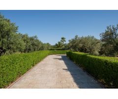 Preciosa finca de 22.500m2 plantada de olivos con vivienda independiente y a unos minutos del pueblo