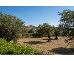 Preciosa finca de 22.500m2 plantada de olivos con vivienda independiente y a unos minutos del pueblo