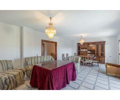 GR3775 - FORNES