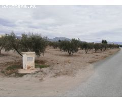 ESTUPENDA PARCELA EN EL ESPARRAGAL PARA CONSTRUCCION DE VIVIENDA