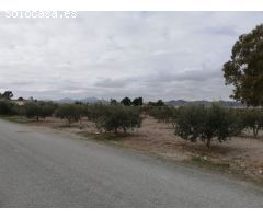 ESTUPENDA PARCELA EN EL ESPARRAGAL PARA CONSTRUCCION DE VIVIENDA