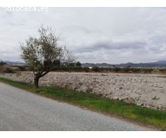 ESTUPENDA PARCELA EN EL ESPARRAGAL PARA CONSTRUCCION DE VIVIENDA