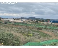 ESTUPENDA PARCELA CON NAVE EN TERCIA