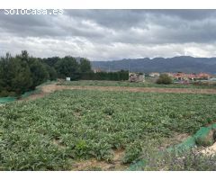 ESTUPENDA PARCELA CON NAVE EN TERCIA