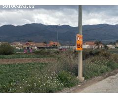 ESTUPENDA PARCELA CON NAVE EN TERCIA