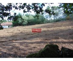 FINCA EDIFICABLE EN AMOEIRO