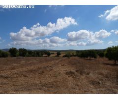 Finca rústica entre Manacor/Villafranca de Bonany