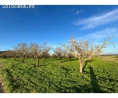 Finca rústica en venta en Porreres