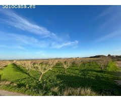 Finca rústica en venta en Porreres