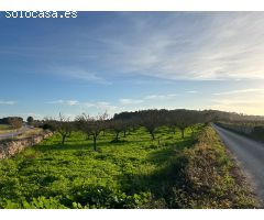 Finca rústica en venta en Porreres