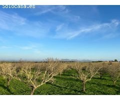 Finca rústica en venta en Porreres