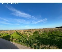 Finca rústica en venta en Porreres