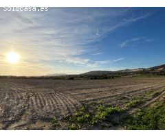 Finca rústica en Porreres en venta