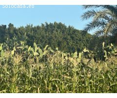 Finca rural dentro de ciudad con casa de campo