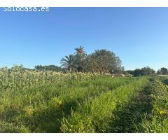Finca rural dentro de ciudad con casa de campo
