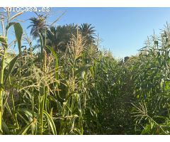 Finca rural dentro de ciudad con casa de campo