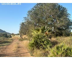 Finca rural dentro de ciudad con casa de campo