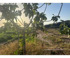 Finca rural dentro de ciudad con casa de campo