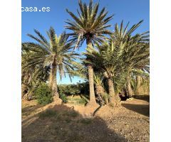 Finca rural dentro de ciudad con casa de campo