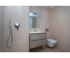 PAREADOS DE OBRA NUEVA EN MONFORTE DEL CID