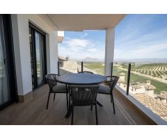 PAREADOS DE OBRA NUEVA EN LA FINCA GOLF