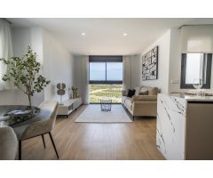 PAREADOS DE OBRA NUEVA EN LA FINCA GOLF