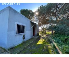 Parcela Segregada con vivienda.