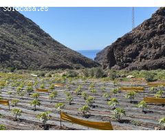 ¡Vivir en la naturaleza, sin vecinos!