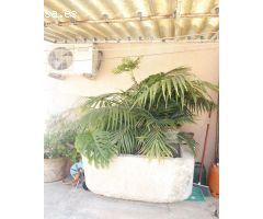 Chalet en Venta en Felanitx, Islas Baleares