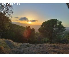 Gran terreno espectacular, a 5 minutos del centro de Mataró