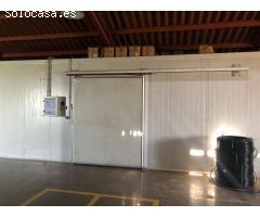 Terreno rural en Venta en Pedralba, Valencia
