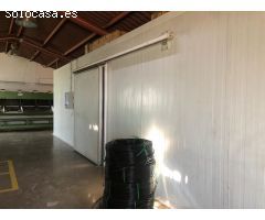 Terreno rural en Venta en Pedralba, Valencia